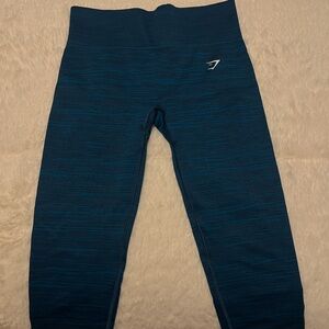 Gym Shark Blue Leggings